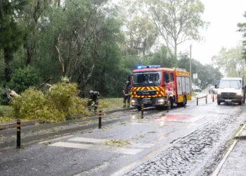 Un camion dei pompieri e un furgone percorrono una strada bagnata dalle piogge in Portogallo dopo il passaggio della tempesta Nuria , disseminata di rami caduti. I coni stradali delineano i detriti mentre gli alberi costeggiano il sentiero nebbioso, evocando le recenti piogge. Il personale di sicurezza gestisce in modo efficiente la scena in mezzo alle conseguenze di questa tempesta.