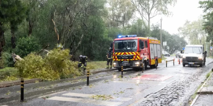 Un camion dei pompieri e un furgone percorrono una strada bagnata dalle piogge in Portogallo dopo il passaggio della tempesta Nuria , disseminata di rami caduti. I coni stradali delineano i detriti mentre gli alberi costeggiano il sentiero nebbioso, evocando le recenti piogge. Il personale di sicurezza gestisce in modo efficiente la scena in mezzo alle conseguenze di questa tempesta.