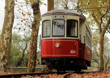Il tram elettrico rosso d'epoca, il Sintra, viaggia lungo stretti binari attraverso una verdeggiante zona residenziale, superando case e alberi in una giornata di sole.