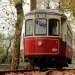 Il tram elettrico rosso d'epoca, il Sintra, viaggia lungo stretti binari attraverso una verdeggiante zona residenziale, superando case e alberi in una giornata di sole.
