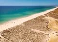 Vista aerea di una lunga spiaggia sabbiosa lungo la Ria Formosa in Algarve, con acqua turchese e vegetazione rada sulle dune. Poche persone e ombrelloni sono visibili lungo il litorale sotto un cielo azzurro e limpido.