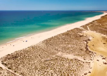 Vista aerea di una lunga spiaggia sabbiosa lungo la Ria Formosa in Algarve, con acqua turchese e vegetazione rada sulle dune. Poche persone e ombrelloni sono visibili lungo il litorale sotto un cielo azzurro e limpido.