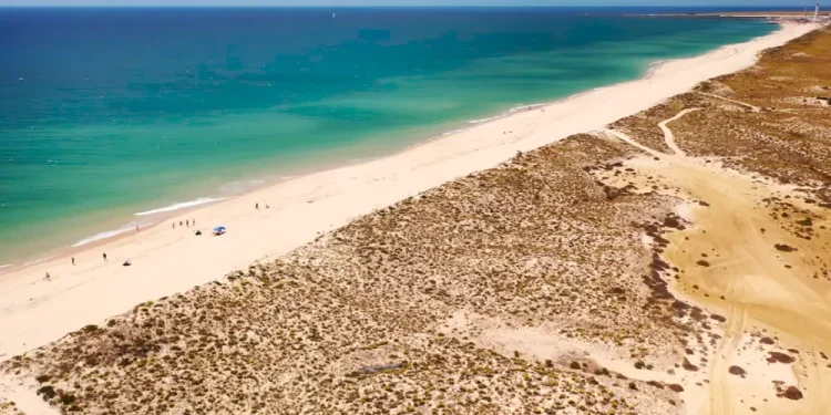 Vista aerea di una lunga spiaggia sabbiosa lungo la Ria Formosa in Algarve, con acqua turchese e vegetazione rada sulle dune. Poche persone e ombrelloni sono visibili lungo il litorale sotto un cielo azzurro e limpido.