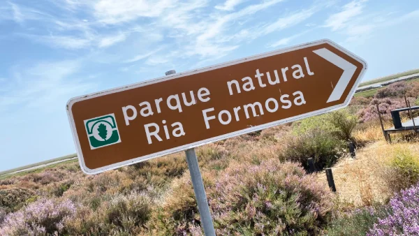 Un cartello turistico indica in lingua portoghese il Parco Naturale della Ria Formosa in Algarve. Si trova all'aperto nel mezzo della vegetazione.