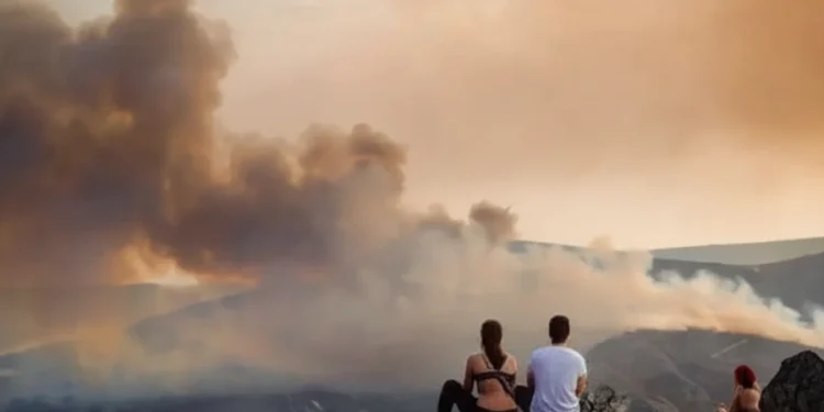 Tre persone sono sedute di spalle osservando alcuni incendi nelle foreste in Portogallo, discutendo sulle probabili cause. Sullo sfondo si vede una fitta coltre di fumo invadere delle montagne.
