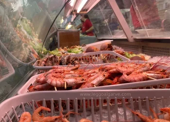 Del marisco esposto in una vetrina al festival di Olhao, sono frutti di mare tipici della cucina portoghese.