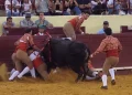 Un gruppo di forcado affrontano un toro nella arena di Campo Pequeno, dove muore Manuel Trindade.