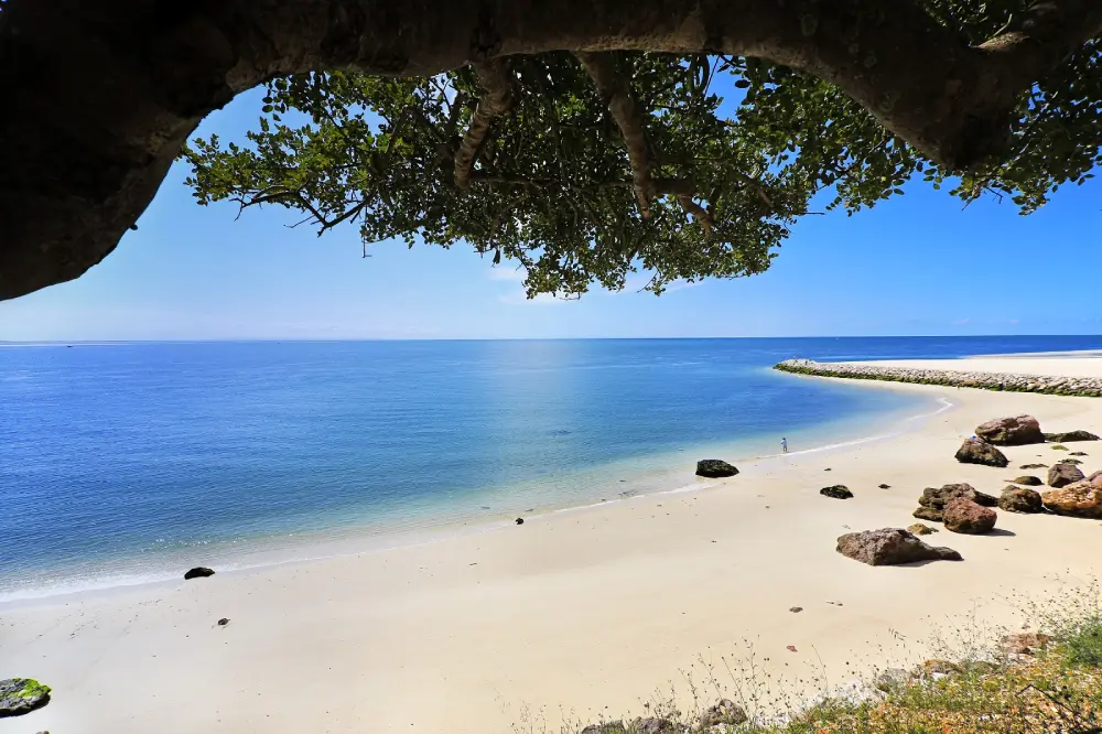 Un litorale panoramico all'interno della Riserva Biosfera UNESCO di Arrábida, caratterizzato da una spiaggia sabbiosa curva, acqua limpida e azzurra, colline verdi e una piccola isola rocciosa vicino alla riva, sotto un cielo azzurro brillante.