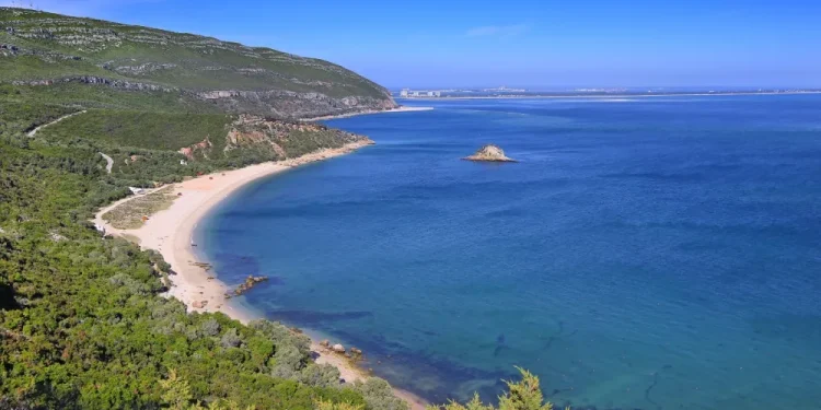 Un litorale panoramico all'interno della Riserva Biosfera UNESCO di Arrábida, caratterizzato da una spiaggia sabbiosa curva, acqua limpida e azzurra, colline verdi e una piccola isola rocciosa vicino alla riva, sotto un cielo azzurro brillante.