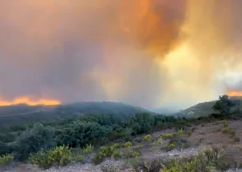 Il fumo denso e le fiamme arancioni dell'incendio di Aljezur si alzano sopra le colline coperte di arbusti ed erba, creando un cielo drammatico e nebuloso sul paesaggio.