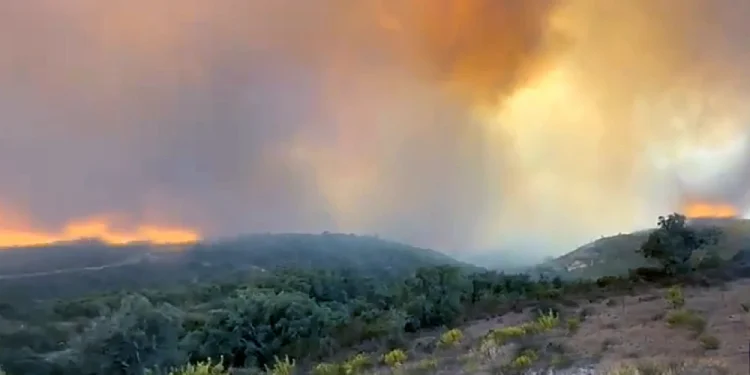Il fumo denso e le fiamme arancioni dell'incendio di Aljezur si alzano sopra le colline coperte di arbusti ed erba, creando un cielo drammatico e nebuloso sul paesaggio.