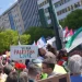 Una folla di manifestanti si riunisce all'aperto con cartelli e bandiere palestinesi, uno dei quali recita "Viva Palestina Livre" in portoghese, mentre Portogallo riconosce lo Stato Palestina. Un garofano rosso è attaccato al cartello. Sullo sfondo, edifici urbani.