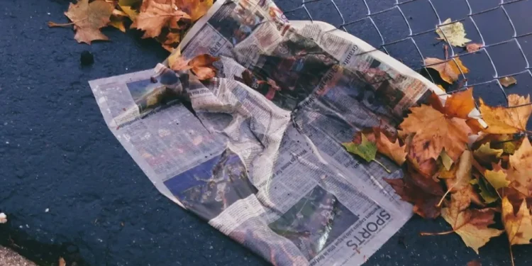 Un giornale accartocciato giace sul marciapiede in Portogallo, bagnato vicino a una rete di recinzione, circondato da foglie autunnali sparse: un sottile promemoria di come gli adulti analfabeti funzionali possano perdere questi momenti. La parola "SPORTS" è visibile.