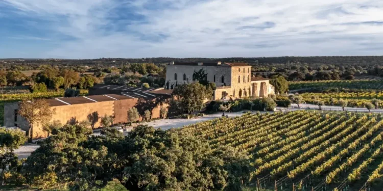 Vista aerea di una villa rustica in pietra dell'Azienda Vinicola Fitapreta di Évora, circondata da vigneti e alberi sotto un cielo parzialmente nuvoloso, con la campagna che si estende in lontananza.