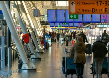 Un affollato terminal aeroportuale con viaggiatori, tra cui italiani diretti all'estero, che camminano e tirano i bagagli osservando i dati info del 2024. Alcuni sono seduti su panchine mentre i cartelli mostrano le indicazioni per il check-in e i gate. L'area è luminosa con luce naturale proveniente da grandi finestre.