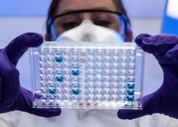 In un laboratorio in Portogallo viene analizzate le presenza della Candida auris da parte di un medico con occhiali e mascherina mentre tieni tra le mani cin guanti viola le provette.