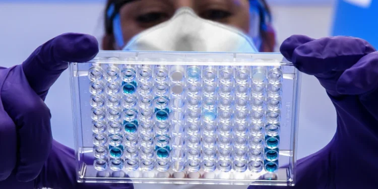 In un laboratorio in Portogallo viene analizzate le presenza della Candida auris da parte di un medico con occhiali e mascherina mentre tieni tra le mani cin guanti viola le provette.