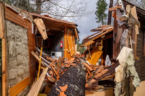Una cucina con gravi danni; parte del soffitto e della parete sono crollati, i detriti sono sparsi sul pavimento e gli oggetti della cucina sono disordinati. Un albero è caduto nel centro della casa evidenziando la necessità di una ricostruzione dopo il passaggio in Portogallo della tempesta Kristin.