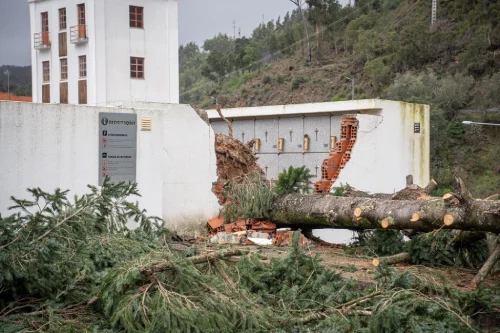 Un albero è caduto abbattendo il muro del cimitero di Pampilhosa da Serra in Portogallo dopo il passaggio della tempesta Kristin, evidenziando la necessità di una rapida ricostruzione.
