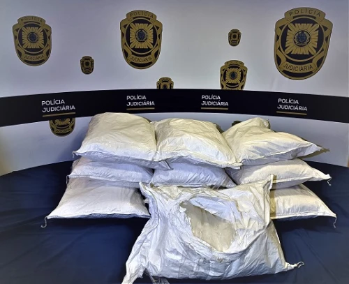 Sacchi di cocaina sequestrati ai cartelli del narcotraffico dalla Polizia Giudiziaria in Portogallo.
